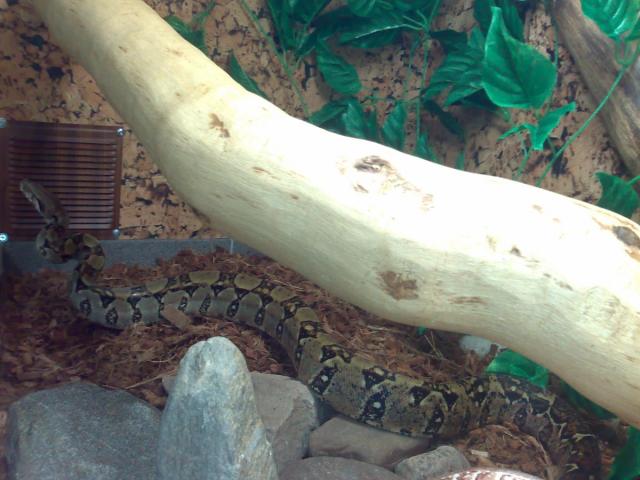Namuose2