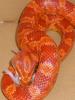 2007_031600421_t1.jpg
