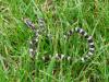 foto3_t1.jpg