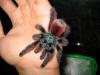 014_t1.jpg