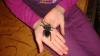 dsc06305_t1.jpg