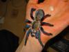 dsc06328_t1.jpg
