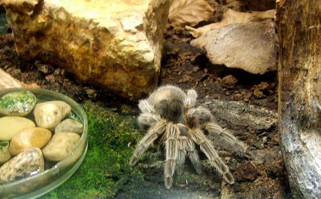 Ryga zoo