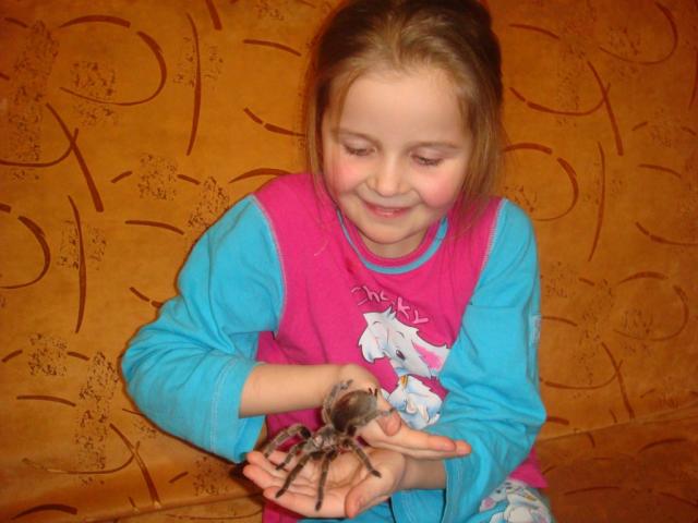 G.Rosea