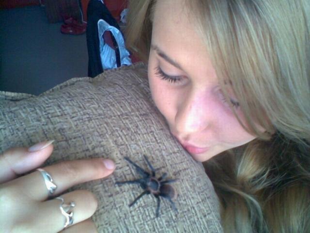 B. vagans