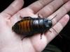 1060511_t1.jpg