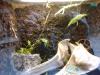 20110518072_t1.jpg