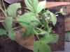 20110518084_t1.jpg